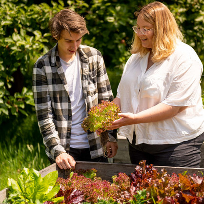 Zwei junge Menschen stehen vor einem Hochbeet mit Salat und halten einen gepflückten Salatkopf in der Hand